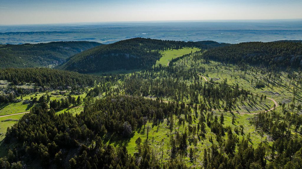 TBD W US HWY 16, Buffalo, WY 82834 photo 9