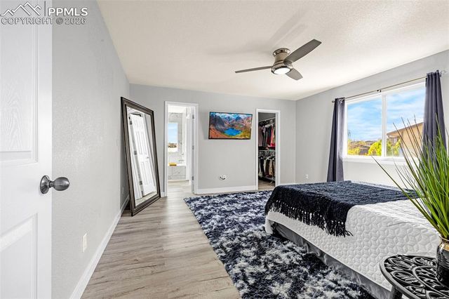 8191 Barn Swallow Grove, Colorado Springs, CO 80925