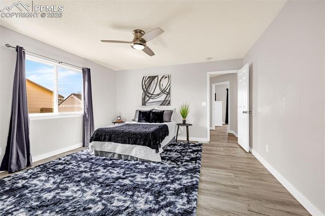 8191 Barn Swallow Grove, Colorado Springs, CO 80925