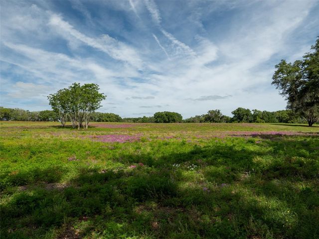 TBD SE 111TH PLACE, Ocala, FL 34480