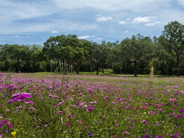 TBD SE 111TH PLACE, Ocala, FL 34480