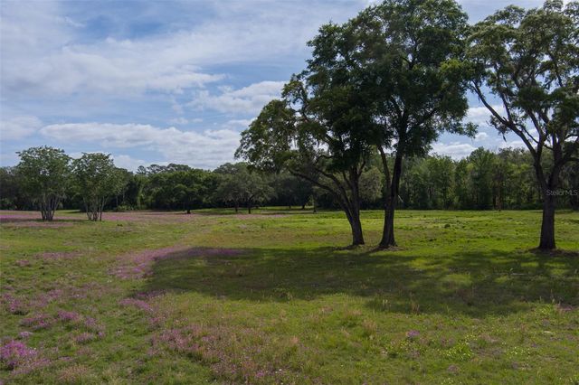 TBD SE 111TH PLACE, Ocala, FL 34480