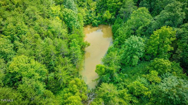 1570 Carl Doty Road, Afton, TN 37616