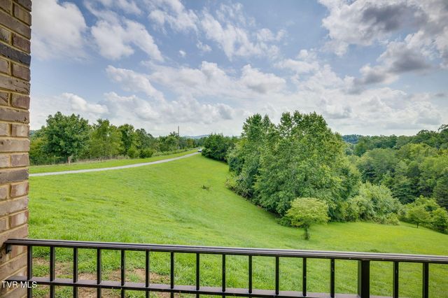 1570 Carl Doty Road, Afton, TN 37616