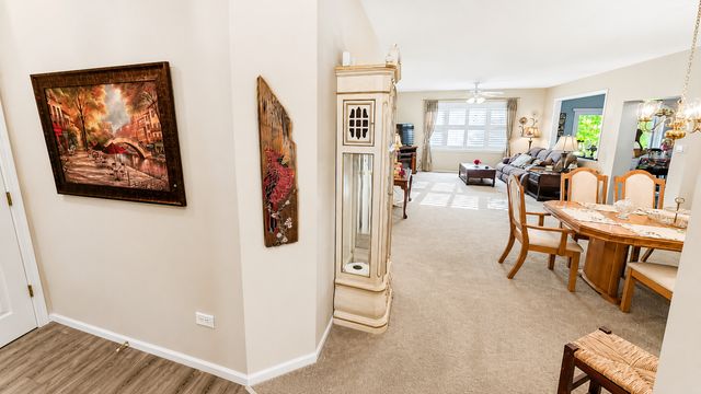 13518 S Butternut Court, Plainfield, IL 60544