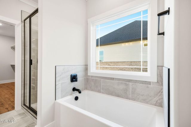 3066 Sawgrass Drive, Jonesborough, TN 37659