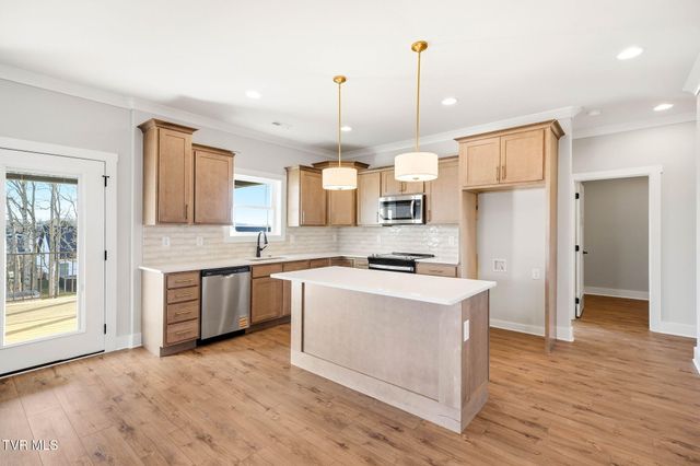 3066 Sawgrass Drive, Jonesborough, TN 37659