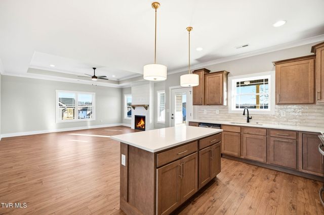 3066 Sawgrass Drive, Jonesborough, TN 37659