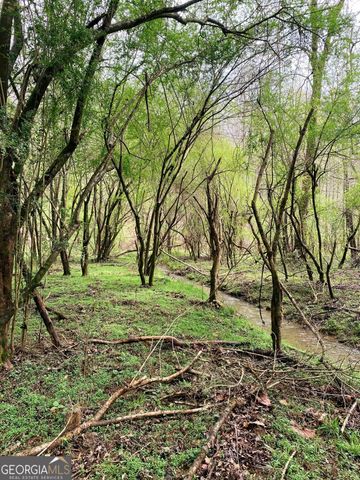 380 Wilson Road, Whitesburg, GA 30185