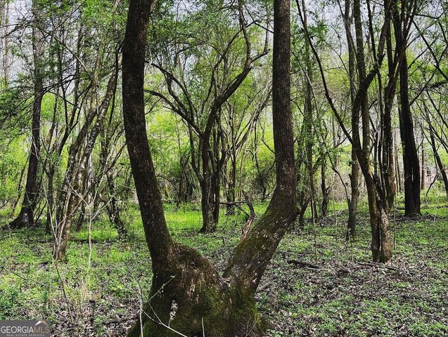 380 Wilson Road, Whitesburg, GA 30185