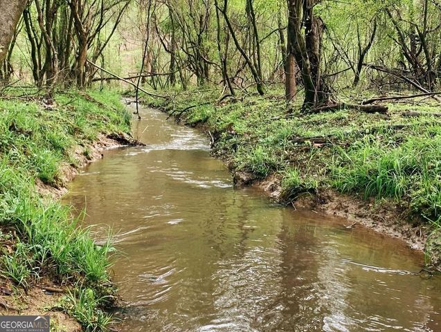 380 Wilson Road, Whitesburg, GA 30185