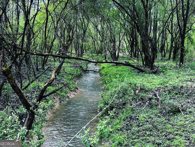 380 Wilson Road, Whitesburg, GA 30185