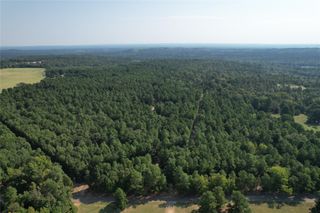 TBD An County Road 1220, Grapeland, TX 75844