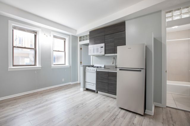 1312 S Wabash Avenue 6, Chicago, IL 60605