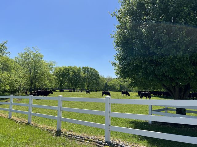 6628 Bethesda Arno Rd, Thompsons Station, TN 37179