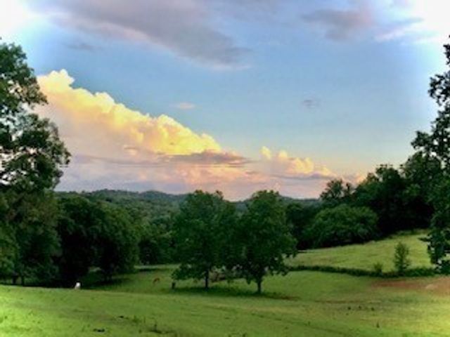 6628 Bethesda Arno Rd, Thompsons Station, TN 37179