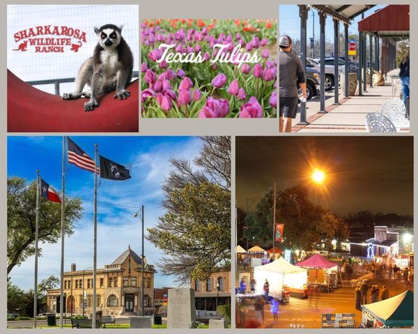 14033 Earlham Street, Pilot Point, TX 76258