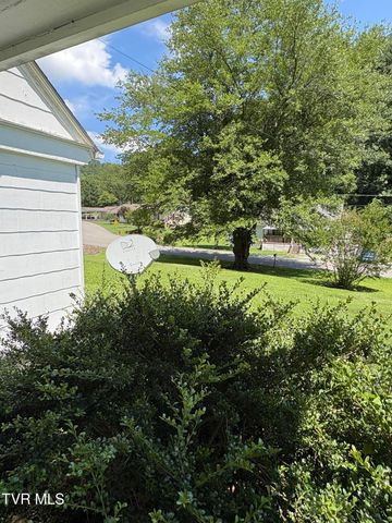 313 Northeast Centre Avenue Ne Avenue, Coeburn, VA 24230