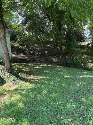 313 Northeast Centre Avenue Ne Avenue, Coeburn, VA 24230