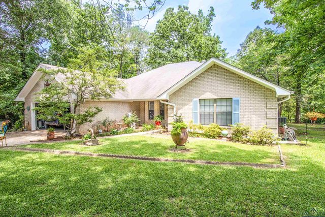 514 Buckeye Hill Rd, Karnack, TX 75661