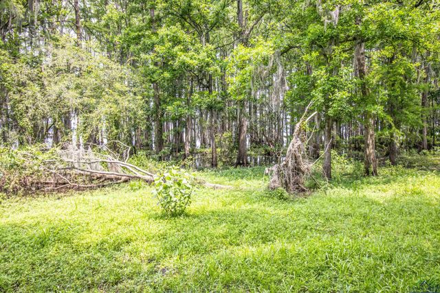 514 Buckeye Hill Rd, Karnack, TX 75661