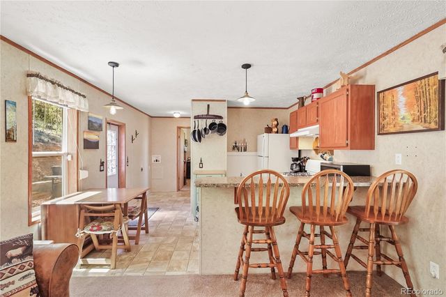 9525 S State Highway 67, Divide, CO 80814