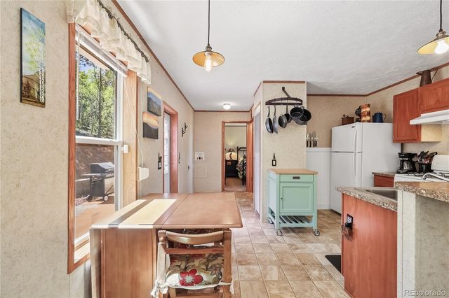 9525 S State Highway 67, Divide, CO 80814