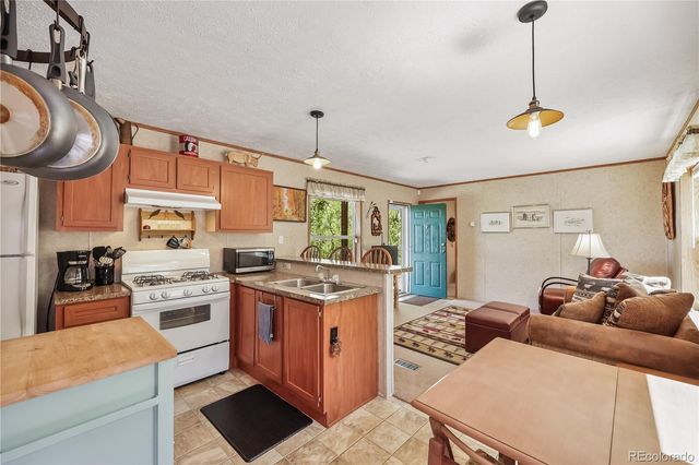 9525 S State Highway 67, Divide, CO 80814