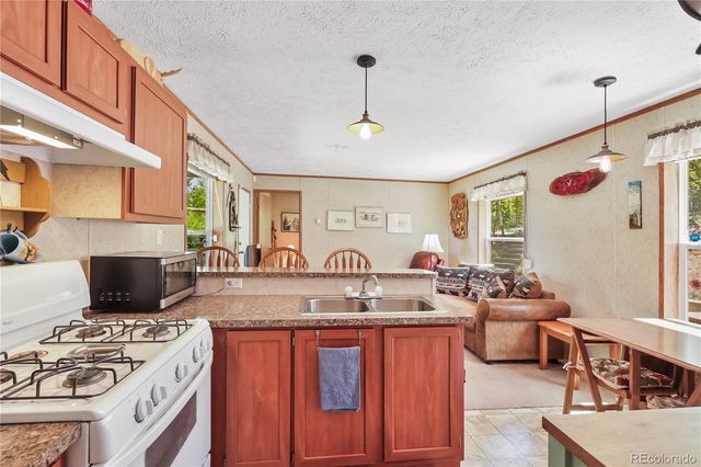 9525 S State Highway 67, Divide, CO 80814