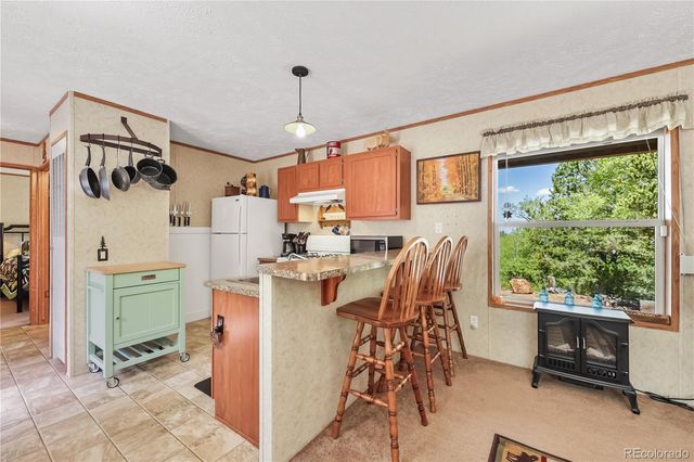 9525 S State Highway 67, Divide, CO 80814