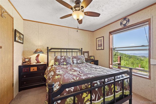 9525 S State Highway 67, Divide, CO 80814