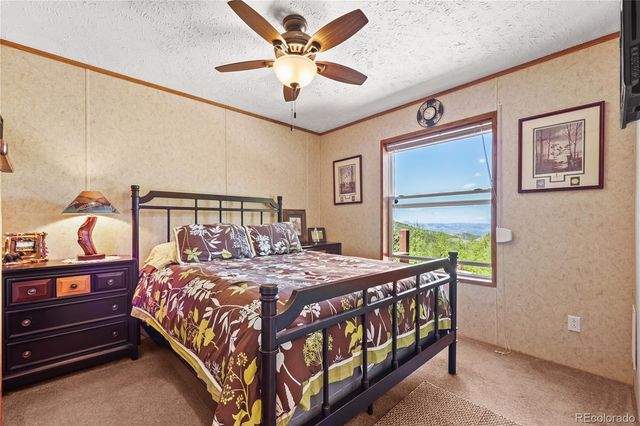 9525 S State Highway 67, Divide, CO 80814