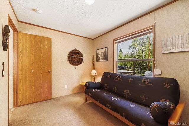 9525 S State Highway 67, Divide, CO 80814