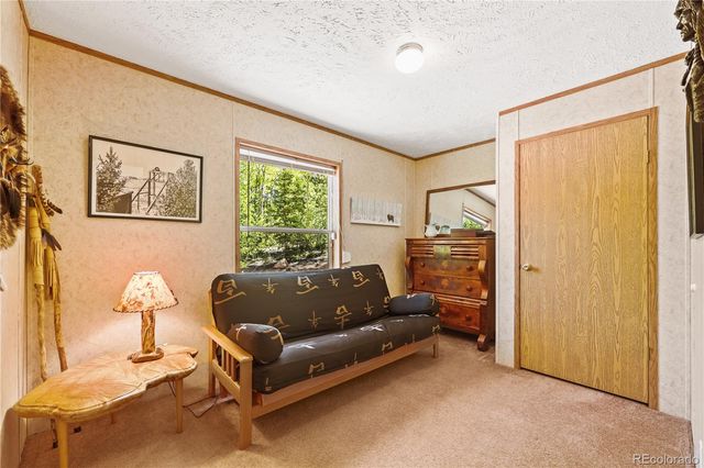 9525 S State Highway 67, Divide, CO 80814