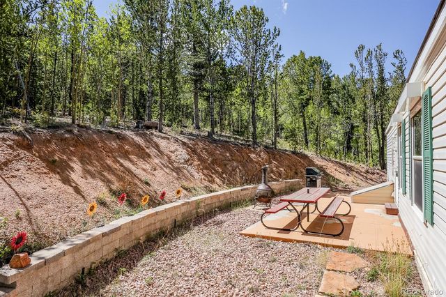 9525 S State Highway 67, Divide, CO 80814