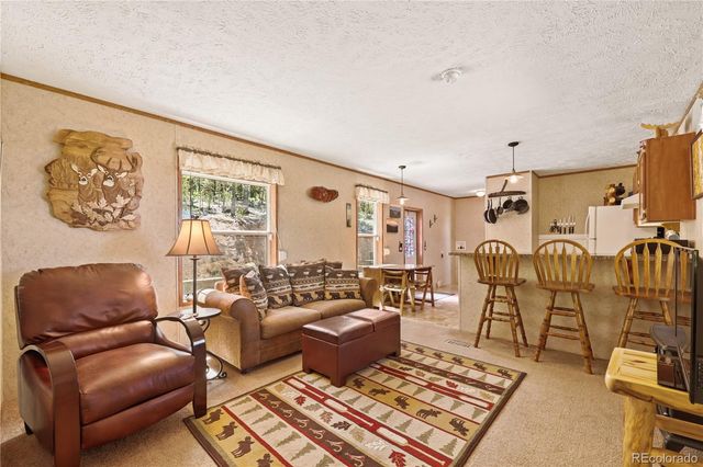 9525 S State Highway 67, Divide, CO 80814