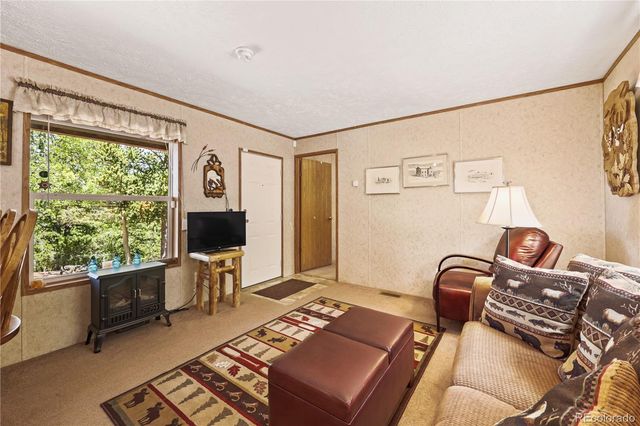 9525 S State Highway 67, Divide, CO 80814