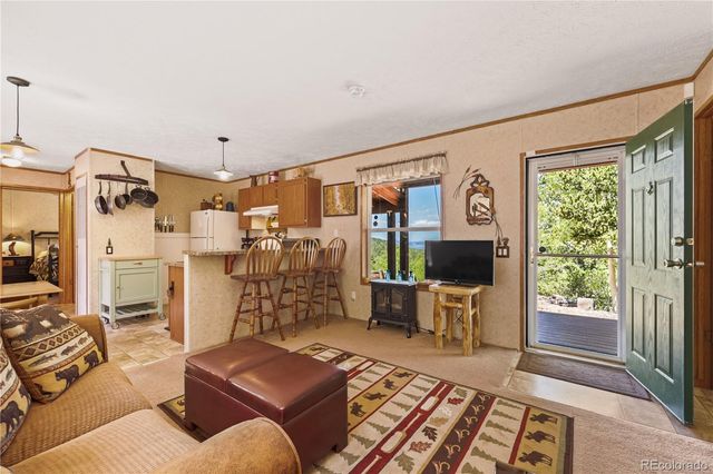 9525 S State Highway 67, Divide, CO 80814