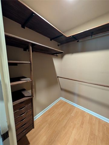 1117 LAKEMONT DRIVE, Valrico, FL 33594