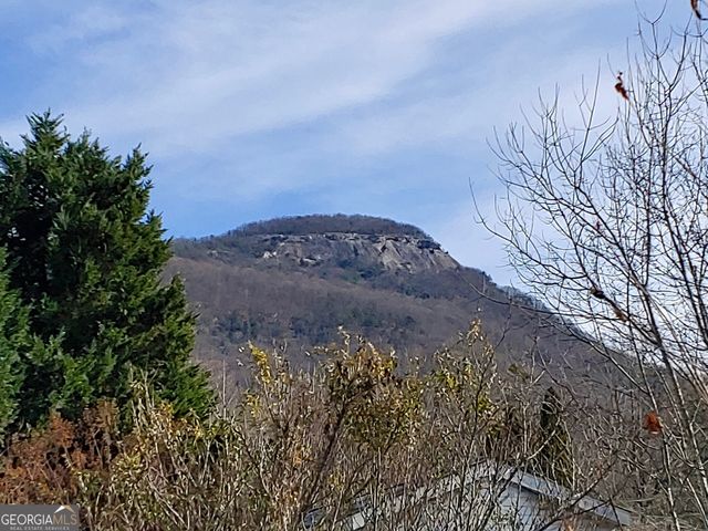 16 Dutchman Way, Cleveland, GA 30528