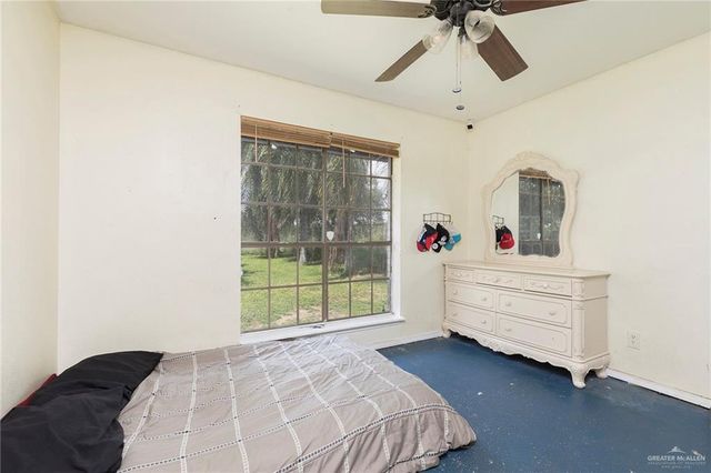 909 E Minnesota Road, Alamo, TX 78589