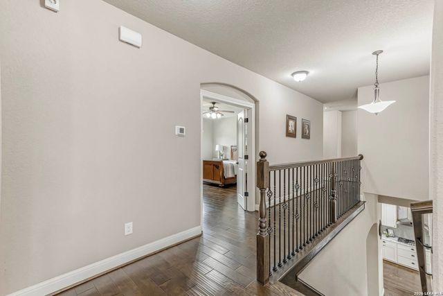 18219 Wild Onion, San Antonio, TX 78258