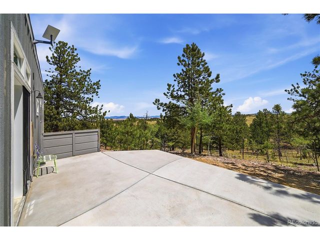 291 Bandolier Ct, Hartsel, CO 80449