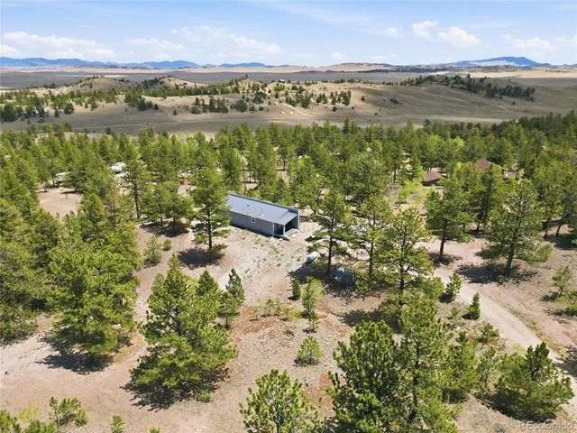 291 Bandolier Ct, Hartsel, CO 80449