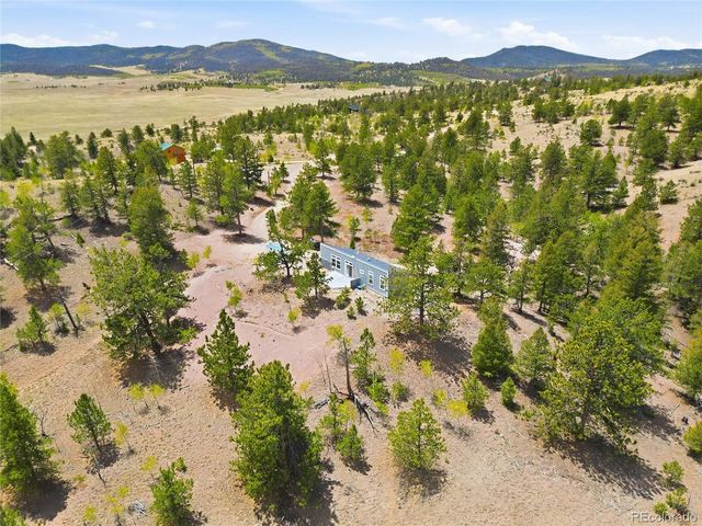 291 Bandolier Ct, Hartsel, CO 80449