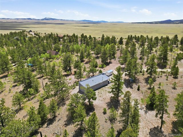 291 Bandolier Ct, Hartsel, CO 80449