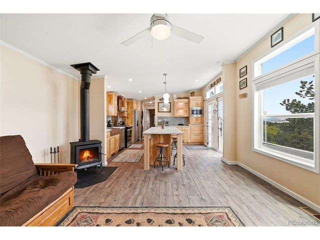 291 Bandolier Ct, Hartsel, CO 80449