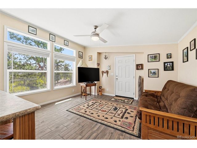 291 Bandolier Ct, Hartsel, CO 80449