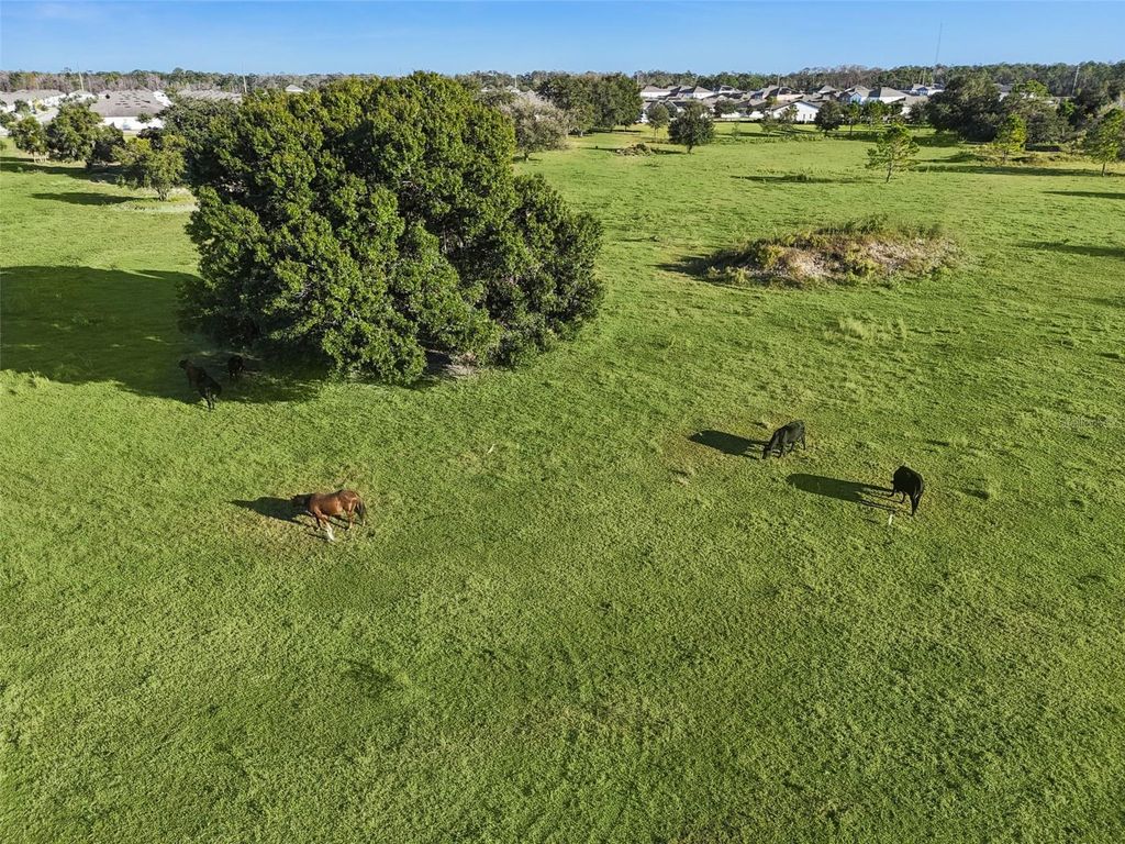 Image 27 of property listing at 5829 BOVINE DRIVE, St Cloud, FL 34771