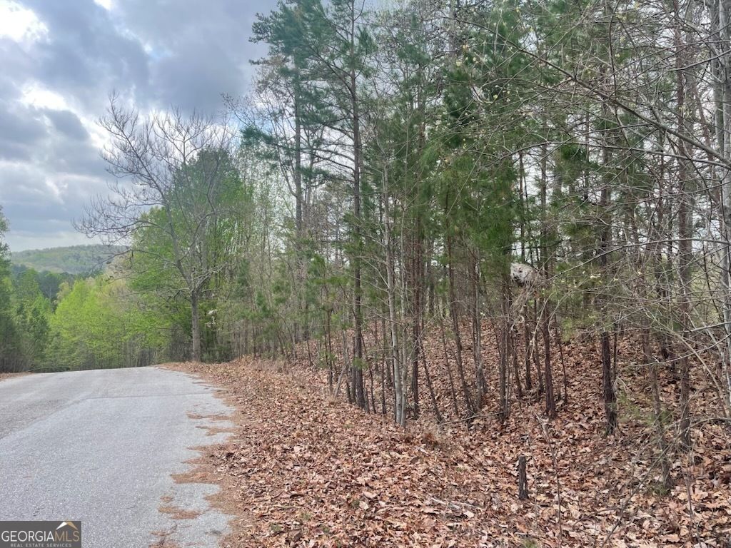 0 Planters Pointe Drive, Baldwin, GA 30511 — photo 2